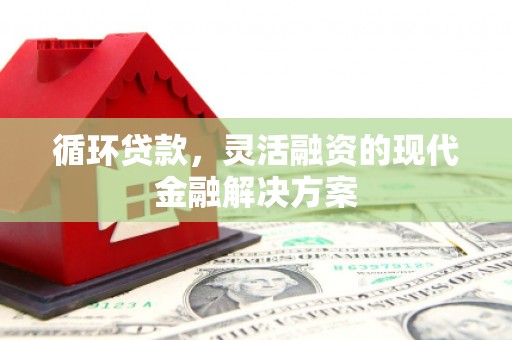 学甲循环贷款，灵活融资的现代金融解决方案