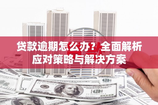学甲贷款逾期怎么办？全面解析应对策略与解决方案