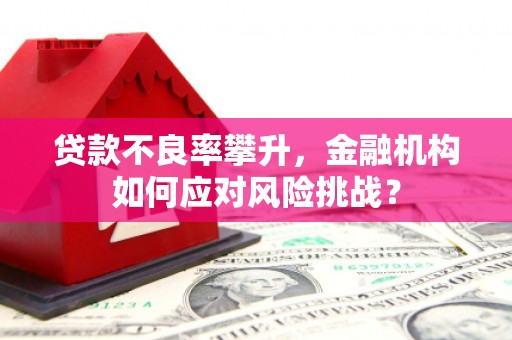 学甲贷款不良率攀升，金融机构如何应对风险挑战？