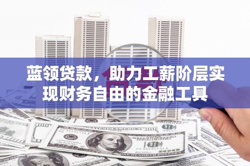 学甲蓝领贷款，助力工薪阶层实现财务自由的金融工具