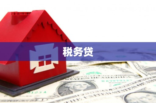 学甲税务贷