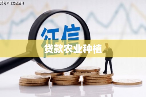 学甲贷款农业种植