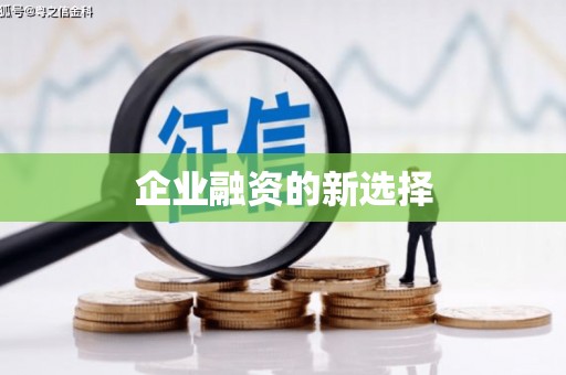 学甲企业融资的新选择