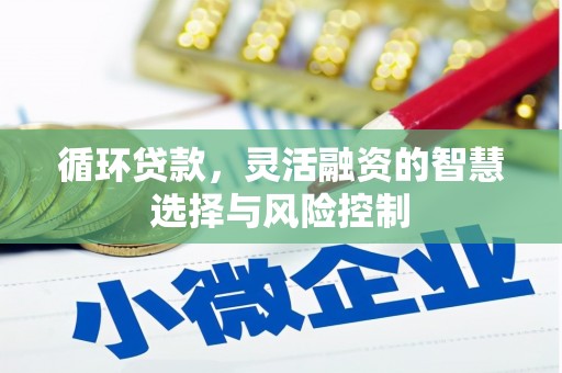 学甲循环贷款，灵活融资的智慧选择与风险控制