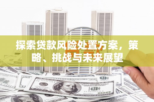 学甲探索贷款风险处置方案，策略、挑战与未来展望