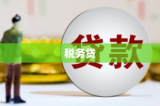 学甲税务贷