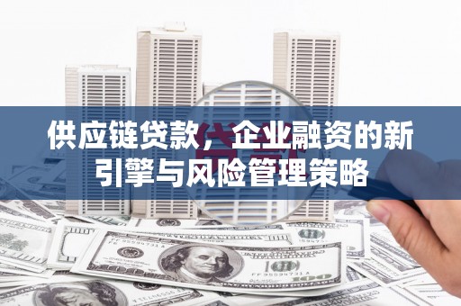学甲供应链贷款，企业融资的新引擎与风险管理策略