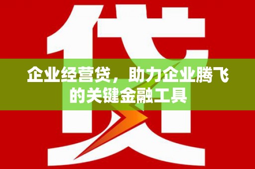 学甲企业经营贷，助力企业腾飞的关键金融工具