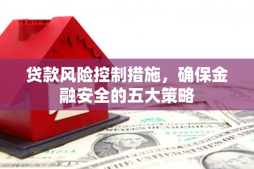 学甲贷款风险控制措施，确保金融安全的五大策略