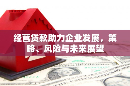 学甲经营贷款助力企业发展，策略、风险与未来展望