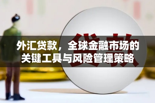 学甲外汇贷款，全球金融市场的关键工具与风险管理策略