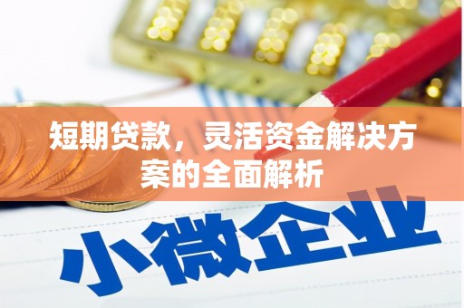 学甲短期贷款，灵活资金解决方案的全面解析