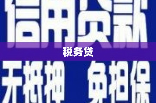 学甲税务贷