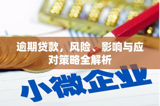 学甲逾期贷款，风险、影响与应对策略全解析