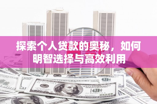 学甲探索个人贷款的奥秘，如何明智选择与高效利用