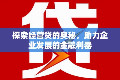 学甲探索经营贷的奥秘，助力企业发展的金融利器