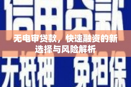 学甲无电审贷款，快速融资的新选择与风险解析