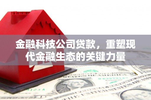 学甲金融科技公司贷款，重塑现代金融生态的关键力量