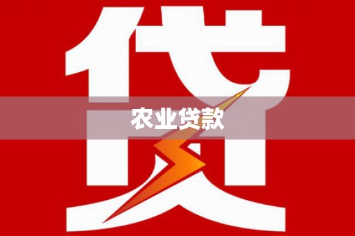 学甲农业贷款