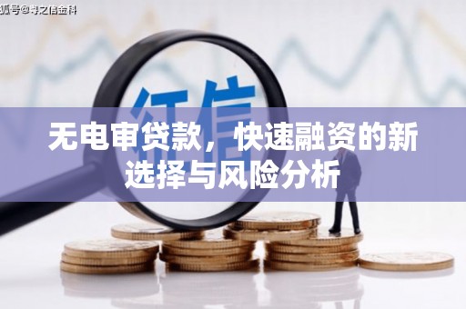 学甲无电审贷款，快速融资的新选择与风险分析