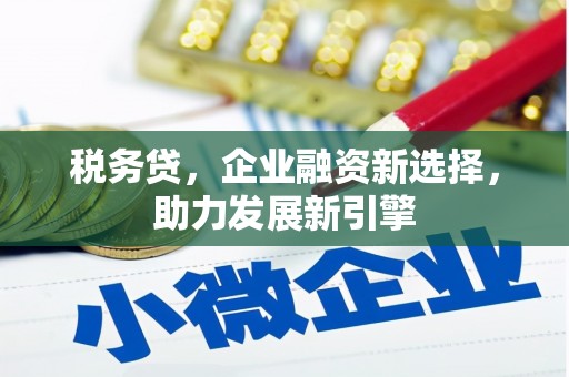 学甲税务贷，企业融资新选择，助力发展新引擎