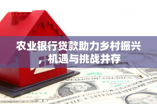 学甲农业银行贷款助力乡村振兴，机遇与挑战并存