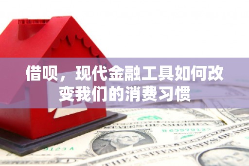 学甲借呗，现代金融工具如何改变我们的消费习惯