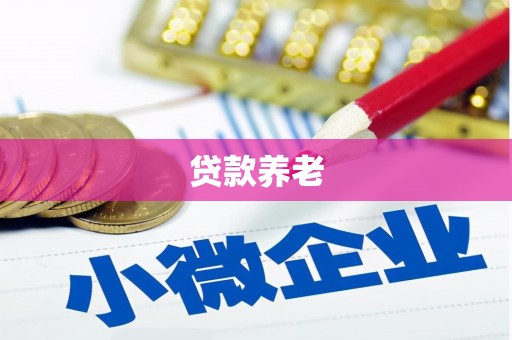 学甲贷款养老