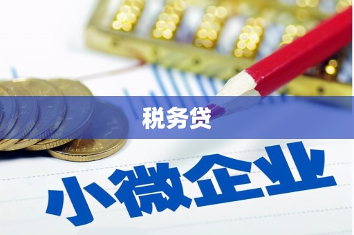 学甲税务贷