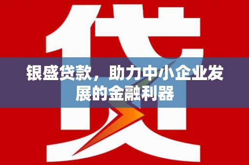 学甲银盛贷款，助力中小企业发展的金融利器