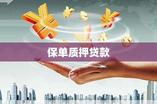 学甲保单质押贷款