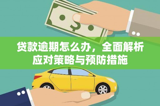 学甲贷款逾期怎么办，全面解析应对策略与预防措施