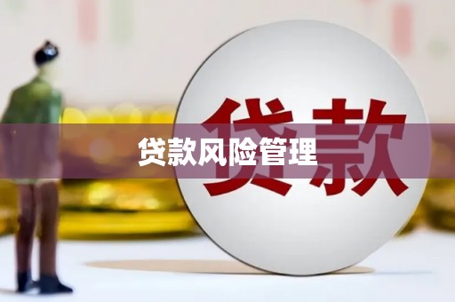 学甲贷款风险管理