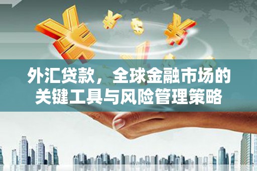 学甲外汇贷款，全球金融市场的关键工具与风险管理策略