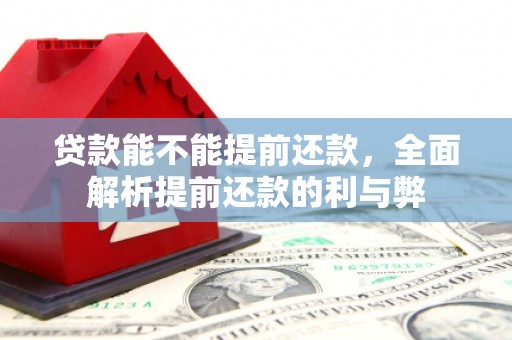 学甲贷款能不能提前还款，全面解析提前还款的利与弊