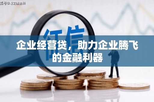 学甲企业经营贷，助力企业腾飞的金融利器