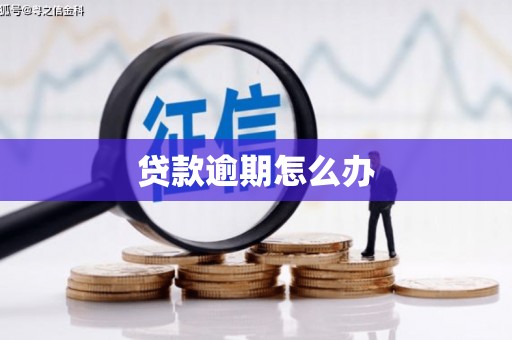 学甲贷款逾期怎么办