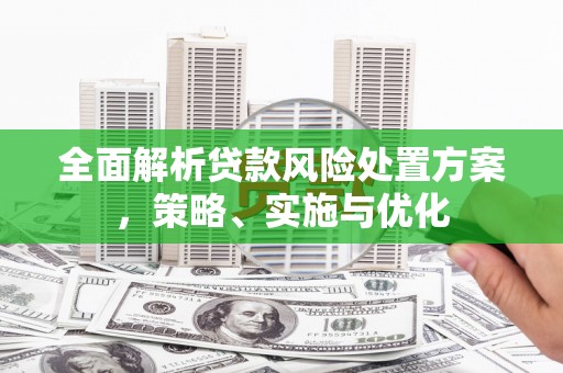 学甲全面解析贷款风险处置方案，策略、实施与优化