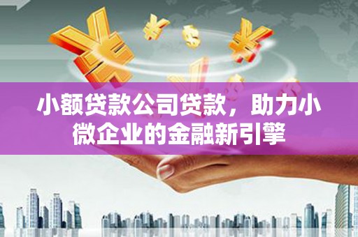 学甲小额贷款公司贷款，助力小微企业的金融新引擎