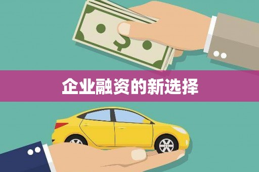 学甲企业融资的新选择