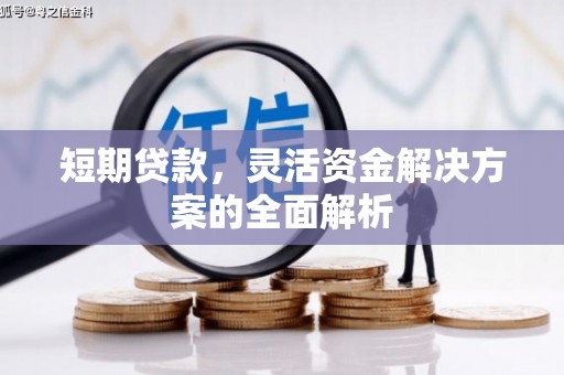 学甲短期贷款，灵活资金解决方案的全面解析