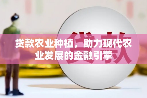 学甲贷款农业种植，助力现代农业发展的金融引擎