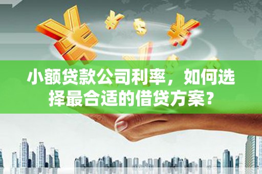 学甲小额贷款公司利率，如何选择最合适的借贷方案？