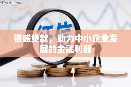 学甲银盛贷款，助力中小企业发展的金融利器