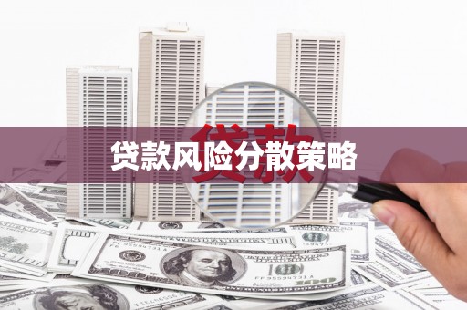 学甲贷款风险分散策略
