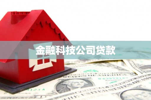 学甲金融科技公司贷款