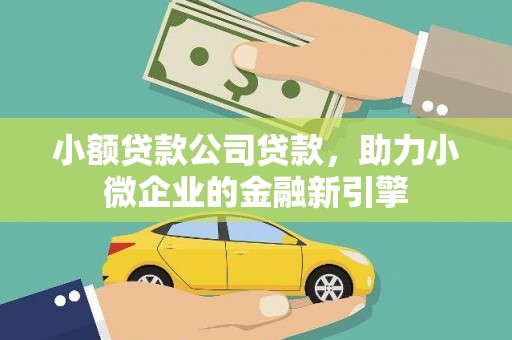 学甲小额贷款公司贷款，助力小微企业的金融新引擎
