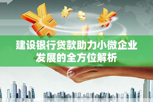学甲建设银行贷款助力小微企业发展的全方位解析