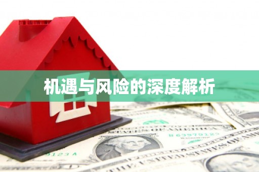 学甲机遇与风险的深度解析