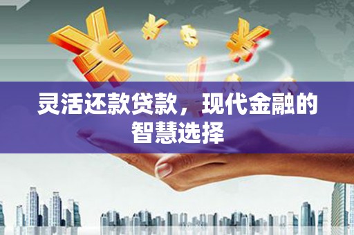 学甲灵活还款贷款，现代金融的智慧选择
